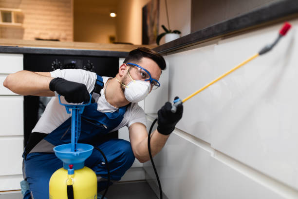 Best Commercial Pest Control Services  in Providence, RI
