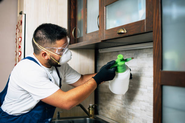 Professional Pest Control in Providence, RI