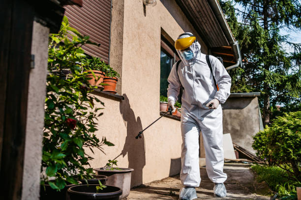 Best Spider Control Near Me  in Providence, RI