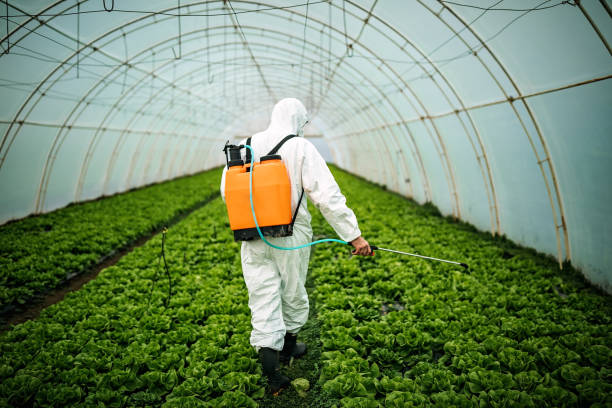 Best Affordable Exterminators  in Providence, RI