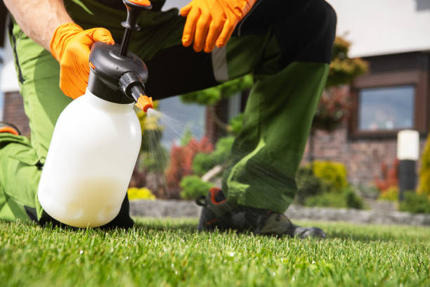 Best Pest Prevention Services  in Providence, RI