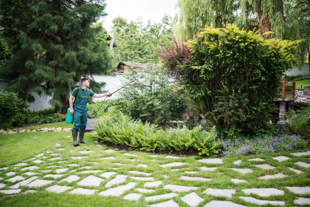 Best Pest Control for Homes  in Providence, RI