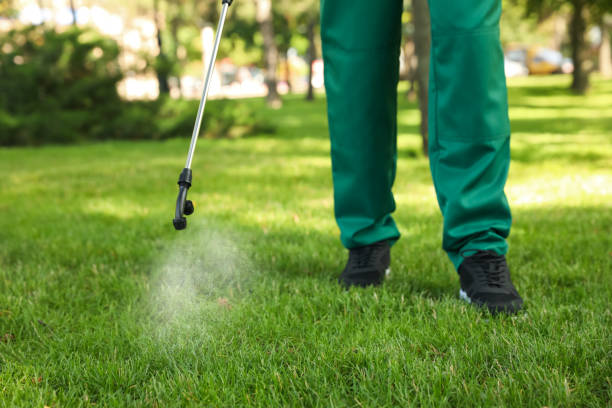 Best Exterminator Services  in Providence, RI