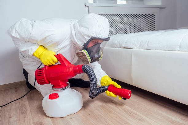 Best Pest Control for Homes  in Providence, RI