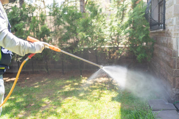 Wasp Removal Services in Providence, RI