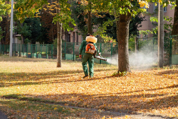 Best Termite Control Services  in Providence, RI